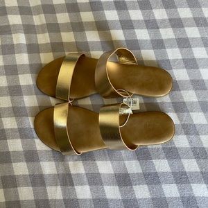 NWT David’s bridal gold sandals